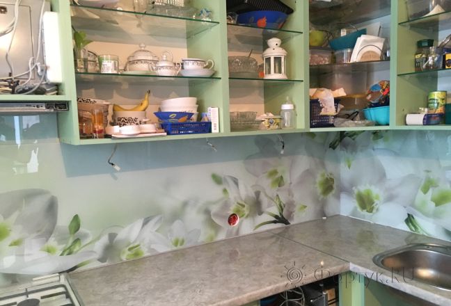 Скинали для кухни фото: бело-зеленые орхидеи, заказ #КРУТ-512, Зеленая кухня. Изображение 111360